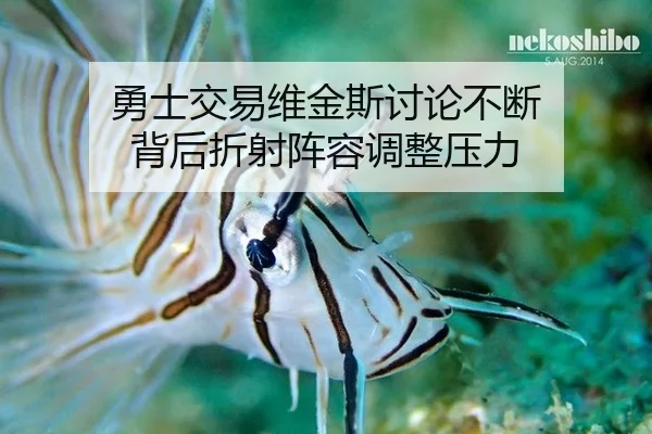 yong-shi-jiao-yi-wei-jin-si-tao-lun-bu-duan-bei-hou-zhe-she-zhen-rong-tiao-zheng-ya-li-2-627.jpg